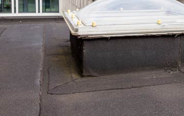 disadvantages of North Elphinestone flat roofs
