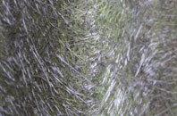 North Elphinestone fibreglass roof work