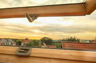 rated North Elphinestone roof window companies